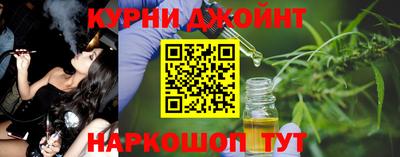 МДПВ Гатчина